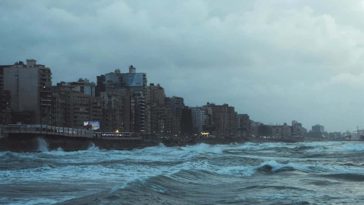 Si mund të bashkëpunojnë blogerët shqiptarë TikTok me reklamuesit serb në 2025