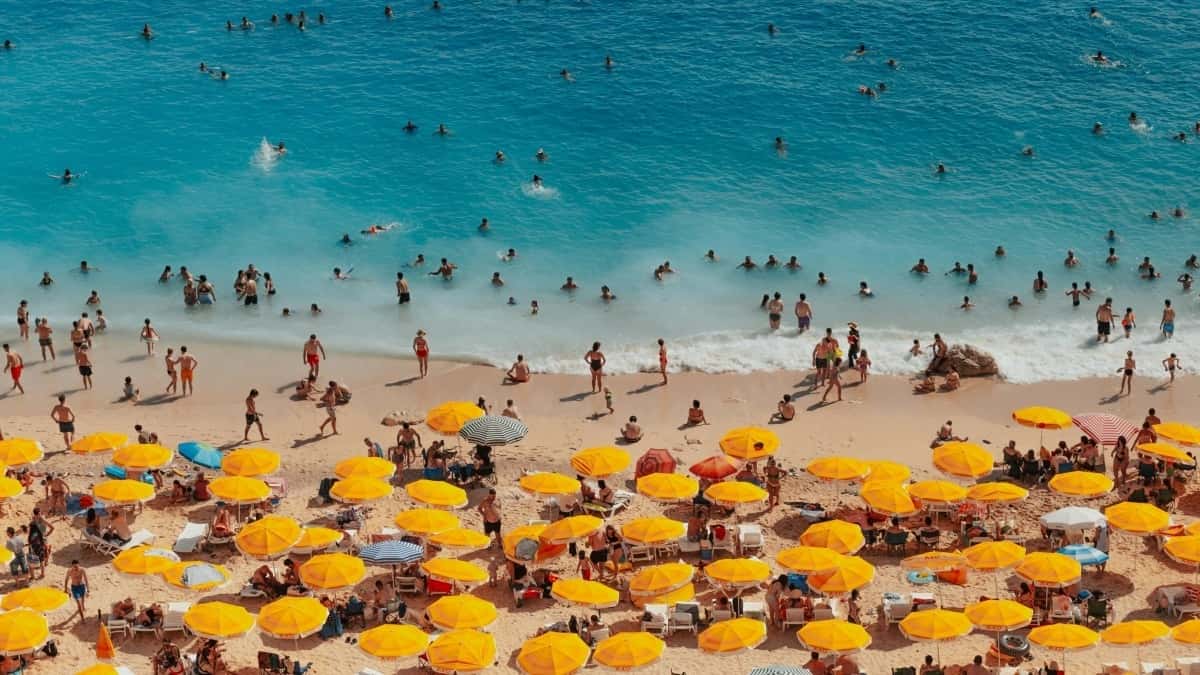 2025 Çmimet e Reklamave të Plotë të Viber në Republikën Çeke