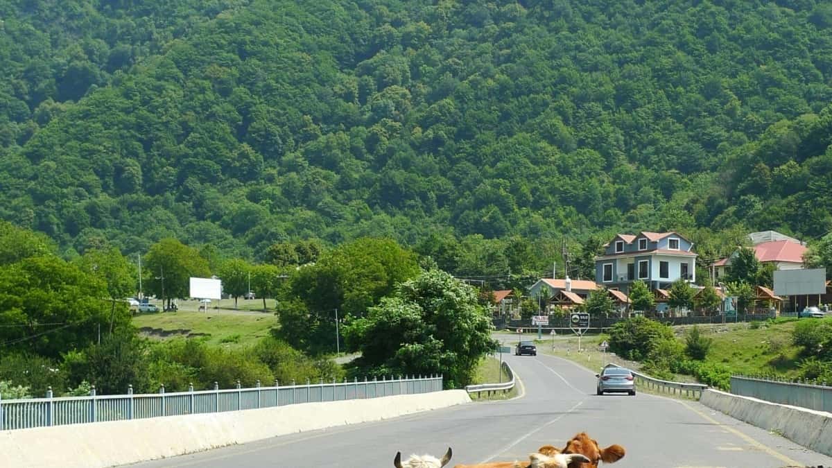 Si të gjesh krijues të Koresë në Xiaohongshu për sfida sponsorizuese