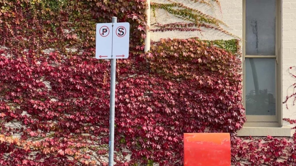 Udhezues praktik per reklamuesit shqiptare: si te gjeni, verifikoni dhe bashkepunoni me krijues Chingari ne Arabine Saudite per shqyrtime autentike.