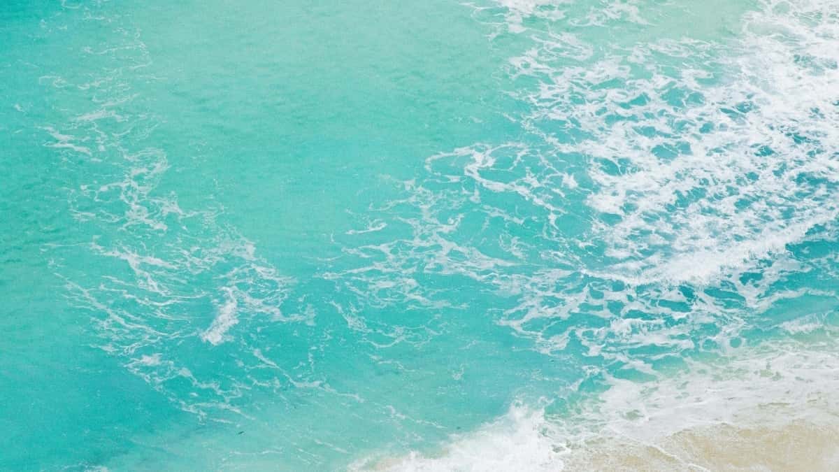 Krijues shqiptar: si t’i arrish markat uruguaiane në Netflix për kodet e zbritjes?