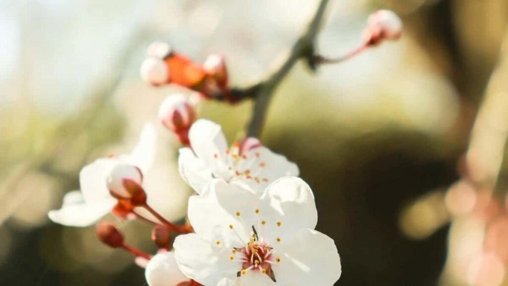 Udhezues praktik per krijues ne Shqiperi: strategji, mesazhe, dhe mjetet me te mira per te kontaktuar marka Kolumbiane ne Takatak dhe per te fituar bashkepunime per rishikime platformash mesimore.