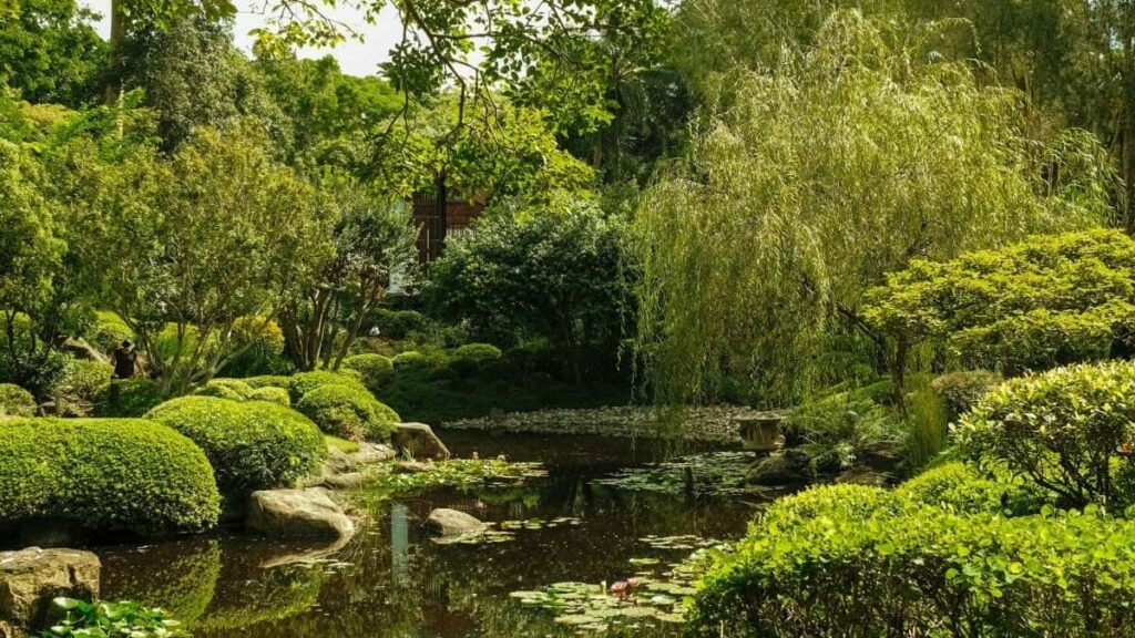 Udhezues praktik per krijuesit ne Shqiperi: si te kontaktoni marka te Panama-s ne Apple Music dhe te ndani zakone te shendetshme me ndjekesit.