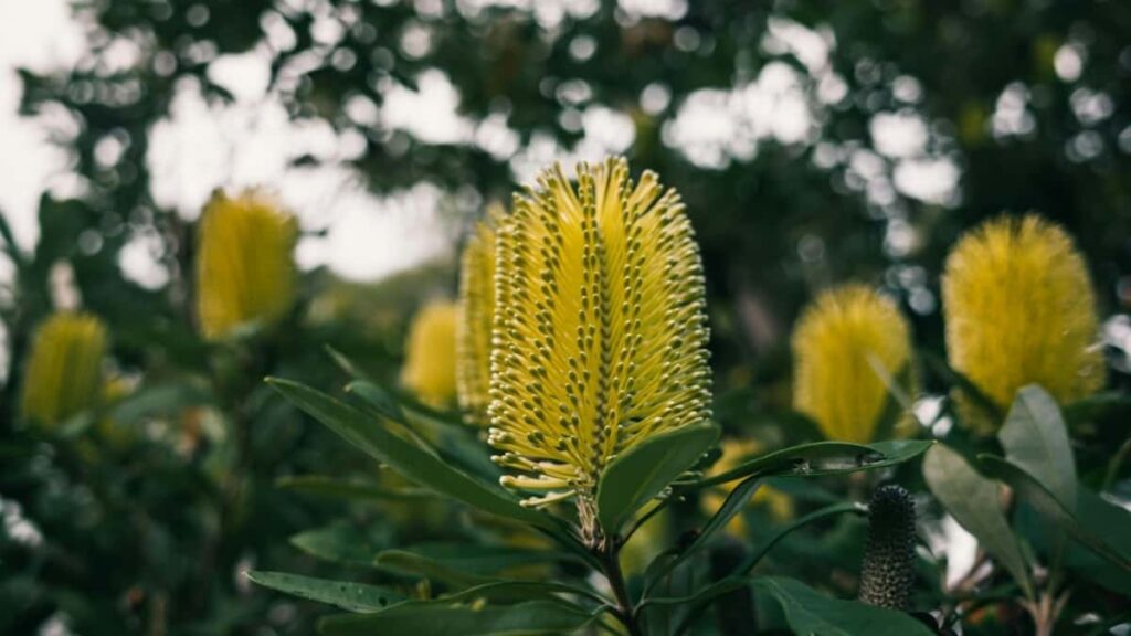 Udhezues praktik per reklamuesit ne Shqiperi: si te identifikoni, vleresoni dhe bashkepunoni me creatoret norvegjeze ne Twitch per te rritur instalimet mobile te aplikacionit tuaj.