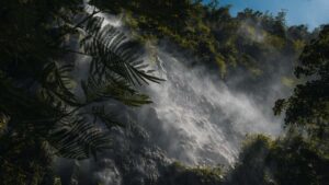 Udhezues praktik per reklamuesit ne Shqiperi: si te identifikoni, negocioni dhe matni krijues ruse ne KakaoTalk per te kthyer ndjekesit ne bleres.