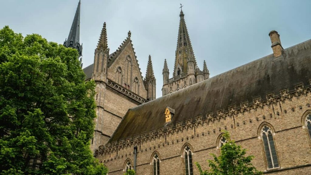 Udhezues praktik per krijues ne Shqiperi: si te gjesh dhe kontaktoni markat boshnjake ne Amazon per te publikuar transformime parapas dhe marre bashkepunime reale.