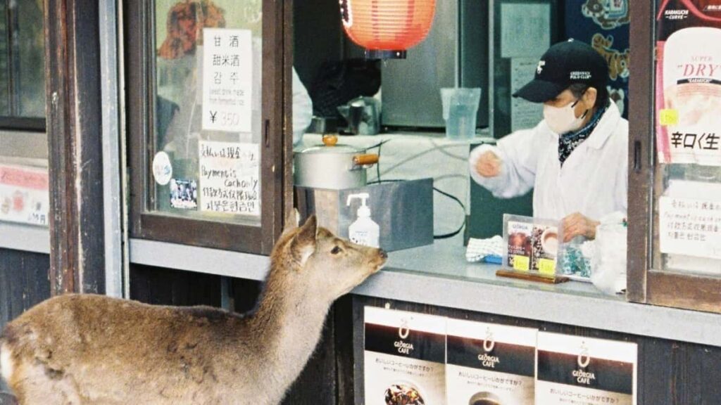Udhezues praktik per krijues ne Shqiperi: taktika, dmth. DM, liste target-esh, shembuj influenceresh dhe nje loje e qarte per te ngjallur hype ne Twitter ndaj brand-eve gjeorgjiane para lancimeve.