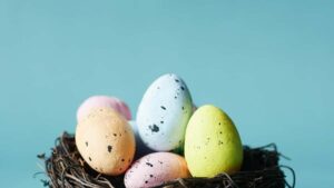 Udhezues praktik per krijues ne Shqiperi: si te gjesh dhe kontaktoni marka nigeriane ne Telegram per rishikime platformash mesimore, duke evituar skemat dhe rritur besueshmerine.