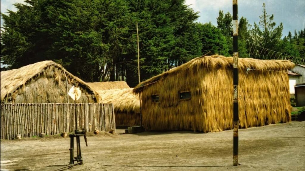 Udhezues praktik per agjentet dhe markat shqiptare: si te zbuloni, vleresoni dhe bashkepunoni me krijues Takatak ne Katar per sfida valle qe performojne.