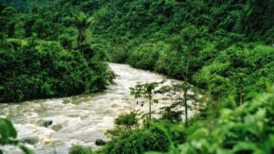 Udhezues praktik per krijues ne Shqiperi: si te identifikosh, kontaktosh dhe siguroni bashkepunime te sponsorizuara me markat mongole ne Lazada per rishikime hoteliere.