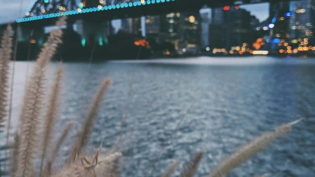 Udhezues praktik per reklamuesit ne Shqiperi: si te identifikoni, kontaktoni dhe shkallezoni bashkepunime me krijues armen ne KakaoTalk per nje seri tutorialesh te drejtuara nga kreatoret.