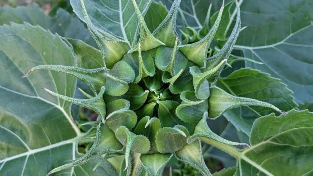 Udhezues praktik per reklamues ne Shqiperi: si te identifikoni, kontaktoni dhe te seed-oni produktet me creatoret e Cyprus Line per rritje organike dhe ROI.