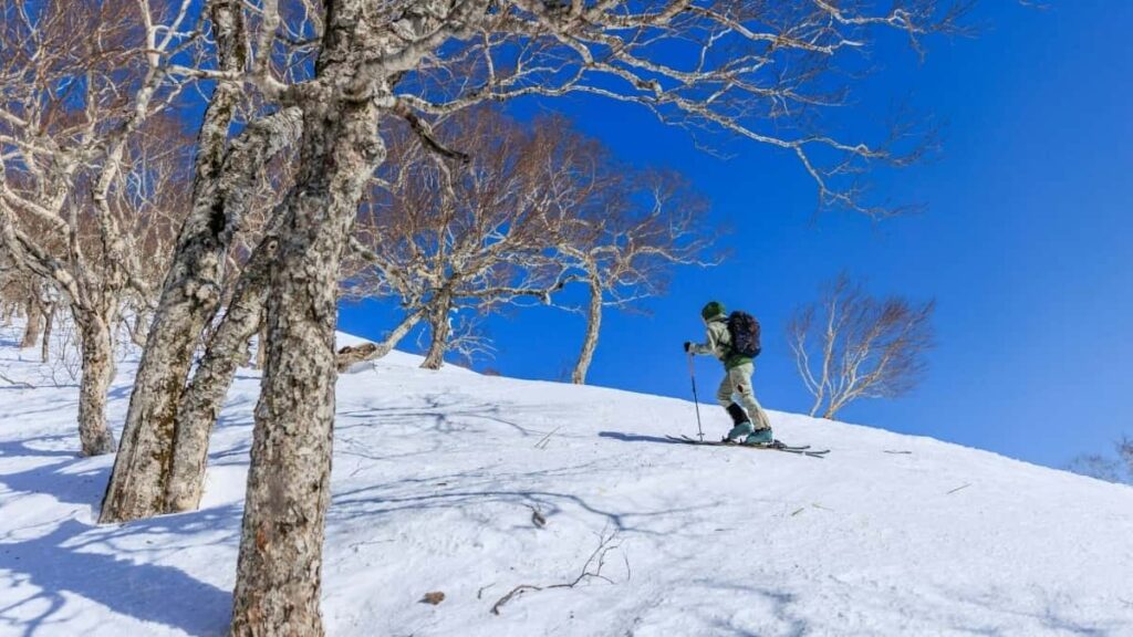 Udhezues praktik per krijues ne Shqiperi: si te identifikosh, kontaktoni dhe bindesh marka te Bahreinit per te testuar ose rishikuar tipare te reja lojerash permes WhatsApp, me shembuj dhe taktika lokale.